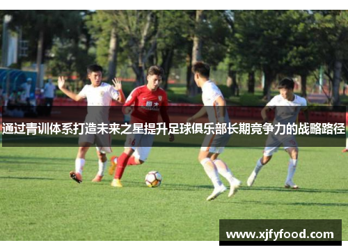 通过青训体系打造未来之星提升足球俱乐部长期竞争力的战略路径