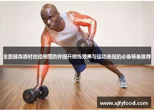 全面健身器材选择指南助你提升锻炼效果与运动表现的必备装备推荐