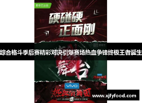 综合格斗季后赛精彩对决引爆赛场热血争锋终极王者诞生