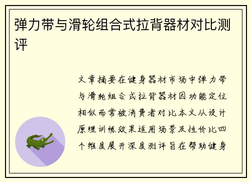 弹力带与滑轮组合式拉背器材对比测评