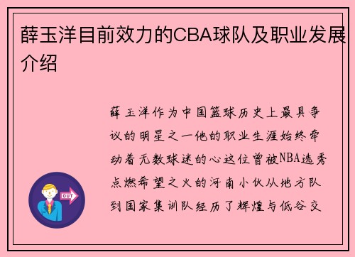 薛玉洋目前效力的CBA球队及职业发展介绍